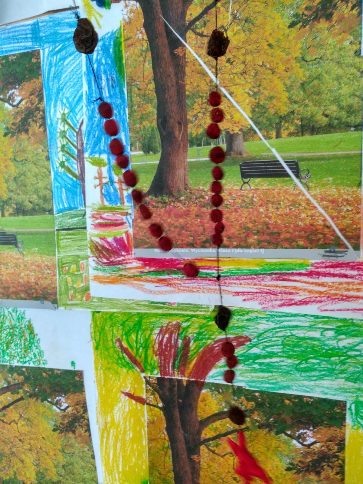 WhatsApp Image 2020-11-03 at 17.09.04.jpeg